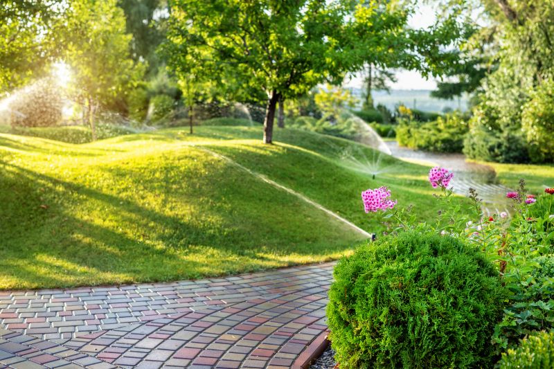Yard Water Redirecting Service