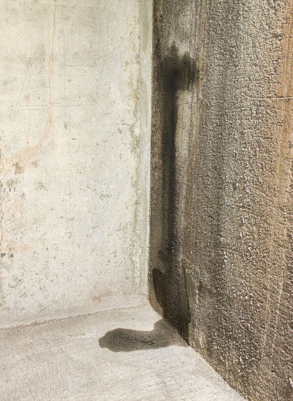 Basement Leak Repair in Birmingham, AL