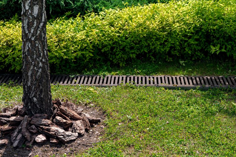 Wet Yard Drainage in Birmingham, AL